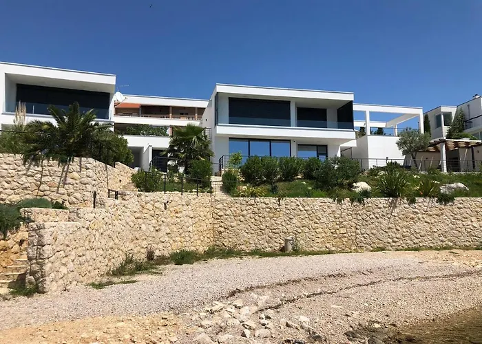 Palms & Maslenica