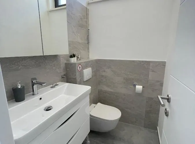 Palms & Maslenica * 야세니스