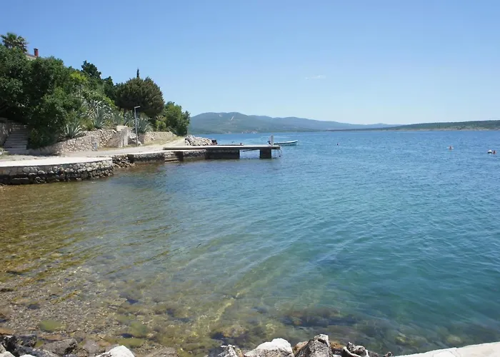 아파트 Palms & Maslenica *