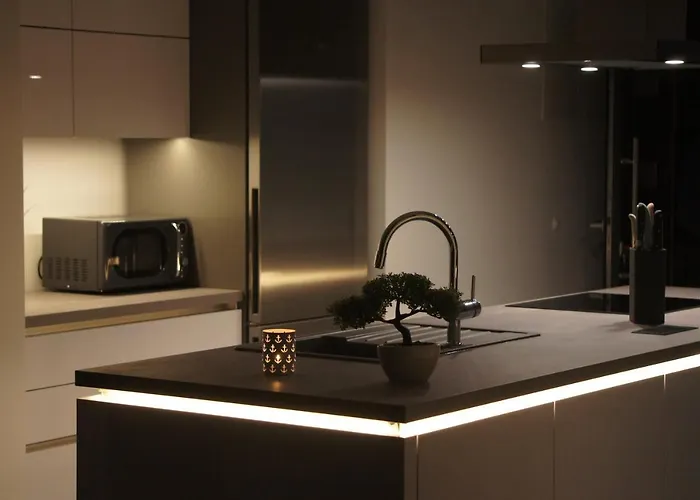 아파트 Palms & Maslenica 야세니스